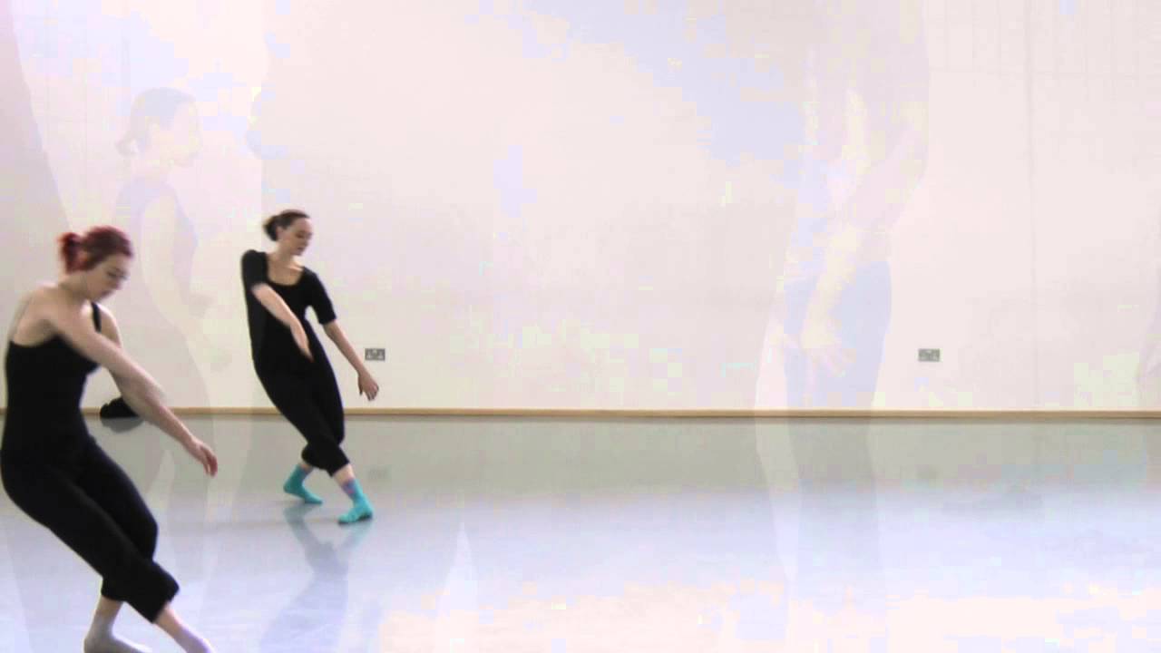 Limón Project: What we do and what we allow