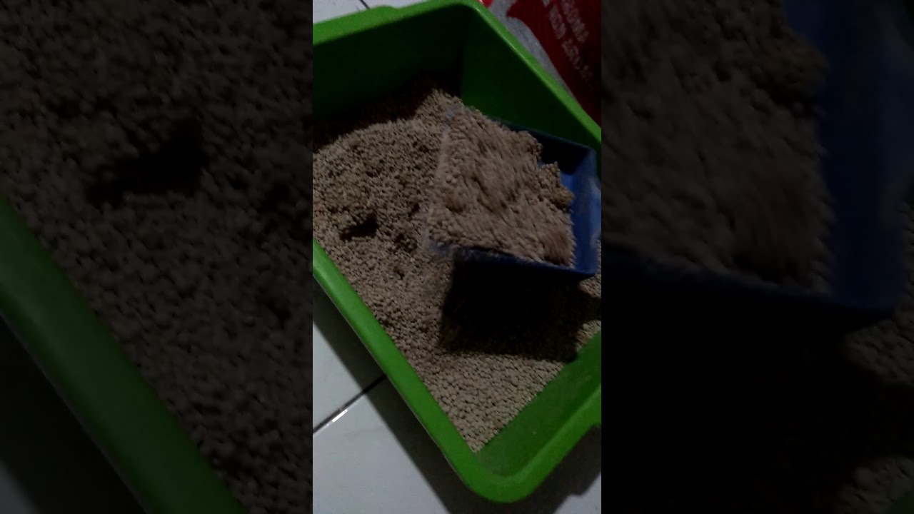pasir kucing bentonite granule gumpal pasir kucing bentonite granule gumpal