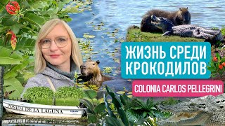 Жизнь среди крокодилов. Как живет глубинка Аргентины