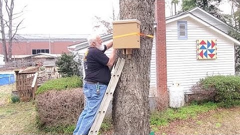 2022 Swarm Season: Preparation and First Swarm Box Installed