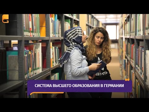 Высшее образование в