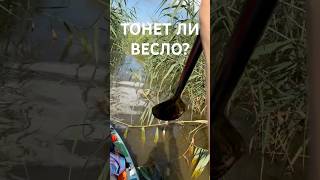 ⚠️ Тонет ли SUP-весло?