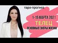 ТЕЛЕЦ ТАРО ПРОГНОЗ 1 ~ 15 МАРТА 2021. Основные сферы