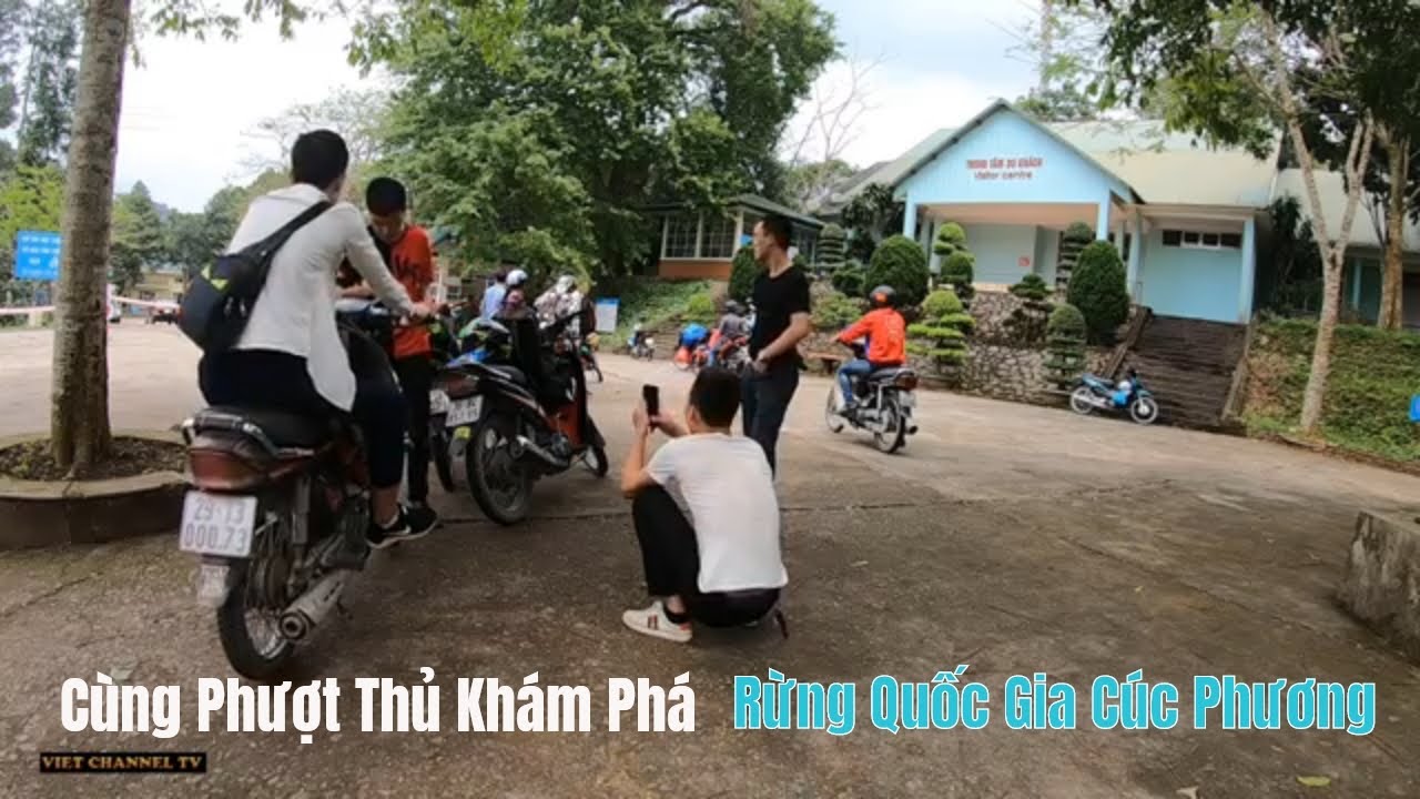 giá vé vào rừng cúc phương 2022 New Cùng Phượt Thủ Khám Phá Rừng Quốc Gia Cúc Phương Có Gì Đẹp