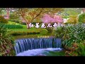 红莓花儿开 伴奏 红莓花儿开 伴奏