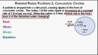 Calculus Related Rates Problem 2, Concentric Circles