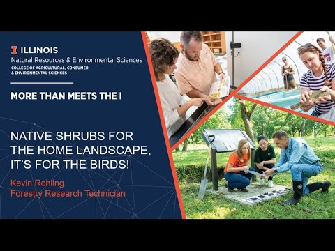 Native Shrubs for the Home Landscape, It’s for the Birds! - Webinar