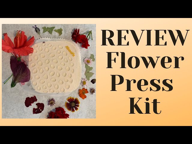 Best flower press kits to try now