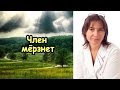 Половой член мерзнет