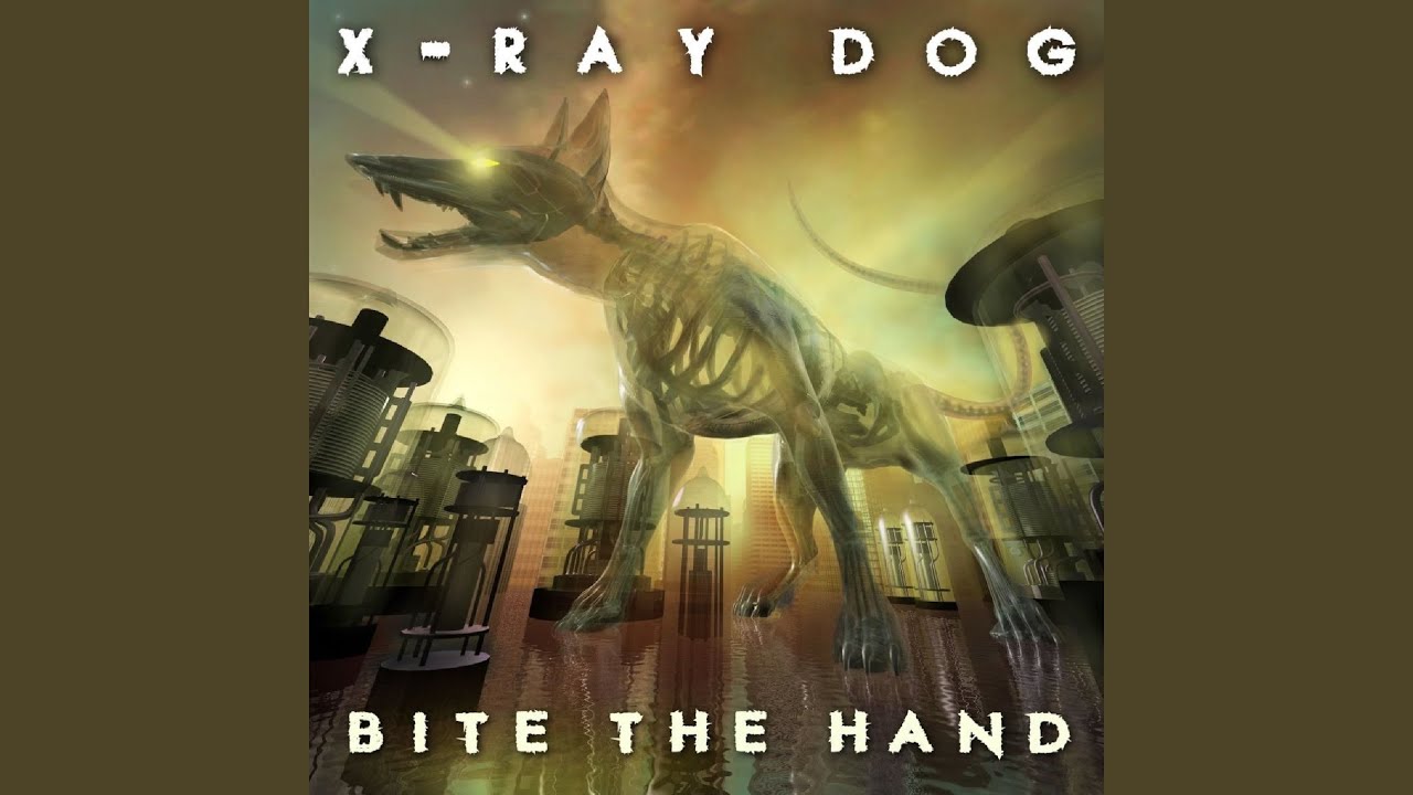 Open Wings auf YouTube ansehen Open Wings auf YouTube ansehen