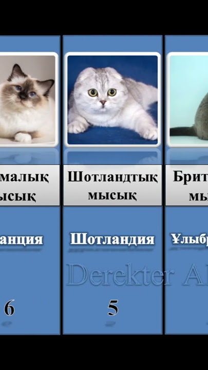 Арық жасөспірім анальный секс береді (видео) онлайн Қызыл ескерту порно суреттері