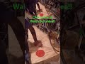 This cheap workbench hack blew my mind #shorts #woodworking