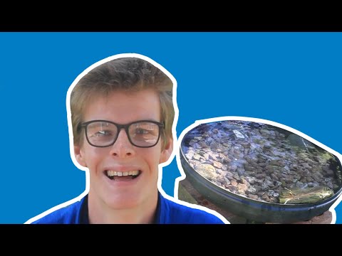 Build A Bird Bath WildChallenge 