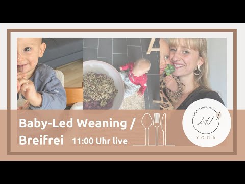 Baby Led Weaning: Breifreie Beikost I Grundlagen und praktische Tipps BLW I Start Babynahrung