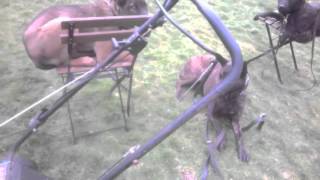 WP 20140317 007