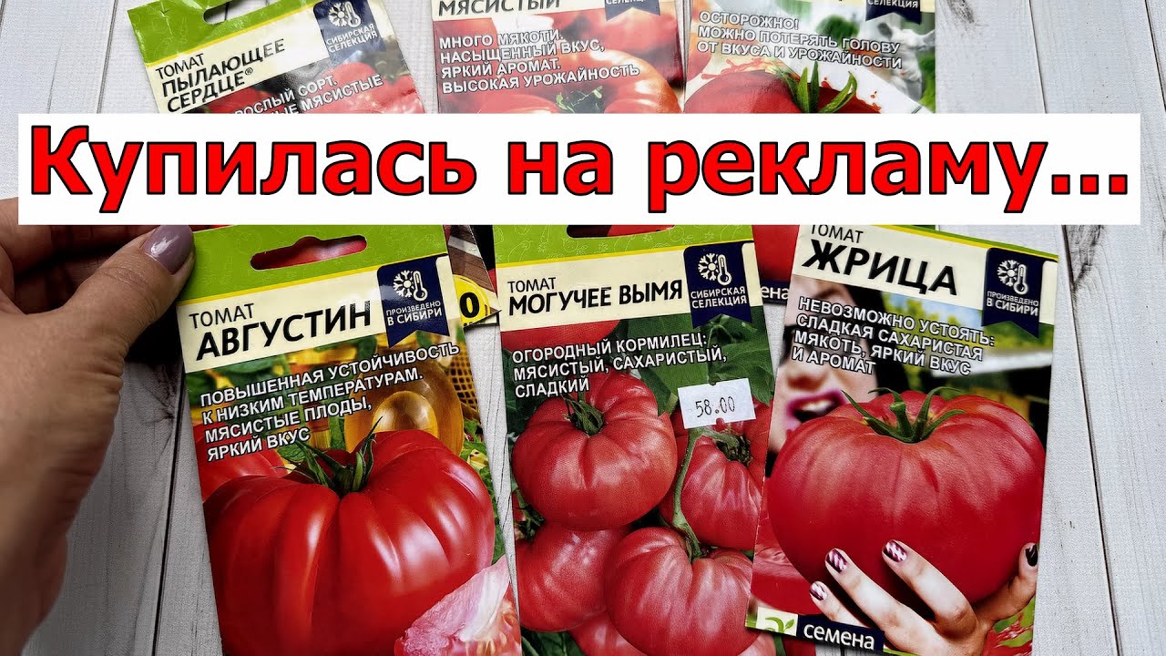 Семена Алтая: НЕ ОЖИДАЛА таких томатов