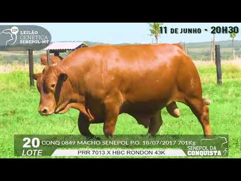 LOTE 20   CONQ 849