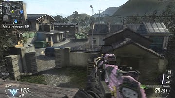 je lance les chien sur bo2 en ODC FUN