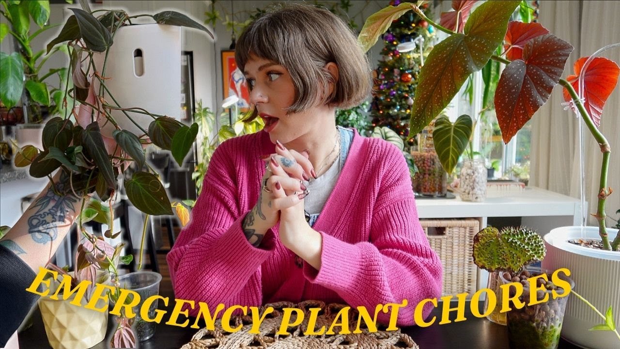 🚨🌿 doing emergency plant chores!! (& trying new self-watering pots 👀)