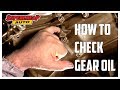 How to - Check Gear Box Oil // Supercheap Auto