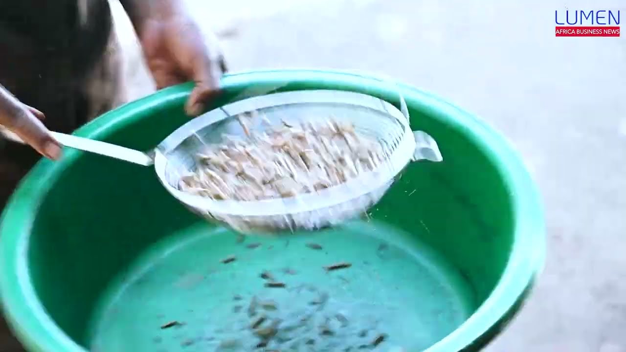 BSF Tamatave - Quand les déchets prennent de la valeur