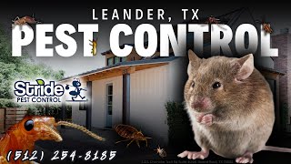 Leander, TX Pest Control Service (512) 254-8185 - Stride Pest Control