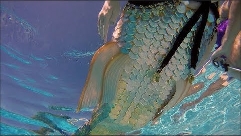 Beautiful Golden Spellbound & Mythic mermaid tails by Mertailor and Finfolk Productions
