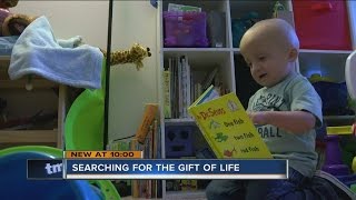 Muskego toddler needs new kidney, family turning to strangers