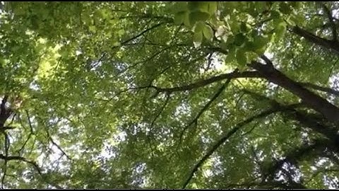 Entre temps – Site specific sound installation June 4  September 30 2017 Excerpt #2