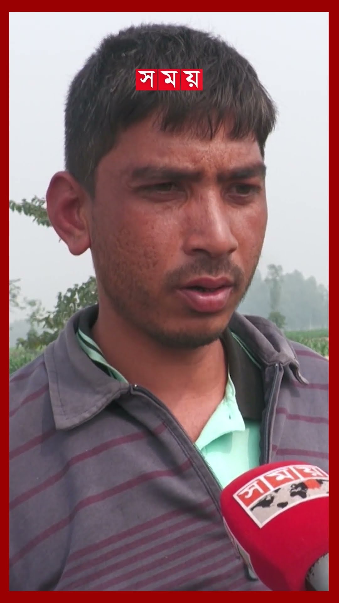 ১৩ নদীর চর-পাড় কেটে নিয়ে যাচ্ছে বালুখেকোরা #thakurgaon #sandextraction #illegalactivities #shorts