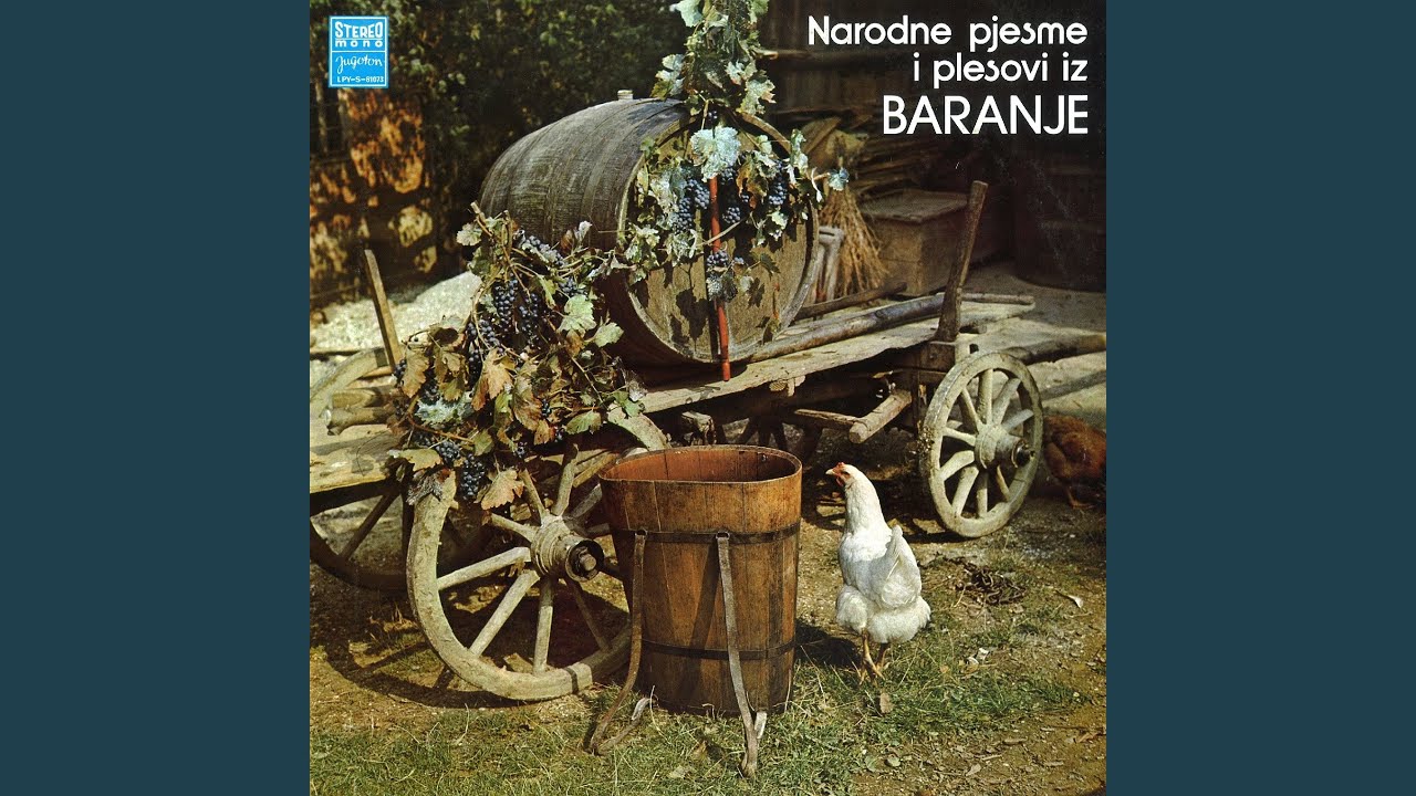 Berem Grožđe I Crno I Bilo