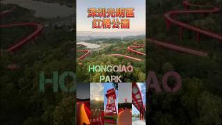 Hongqiao Park · Guangming District, Shenzhen (Morning Hike → Sunset → Night Bridge)
