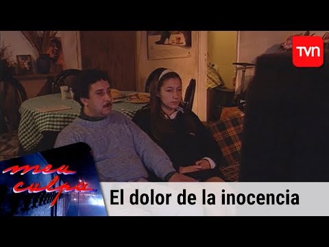 Video: ¿Su San Bernardo sufre en silencio por dolor en las articulaciones?