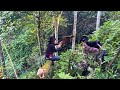 Together with pets, we went into the forest to transport wood back to build a farm on the water.