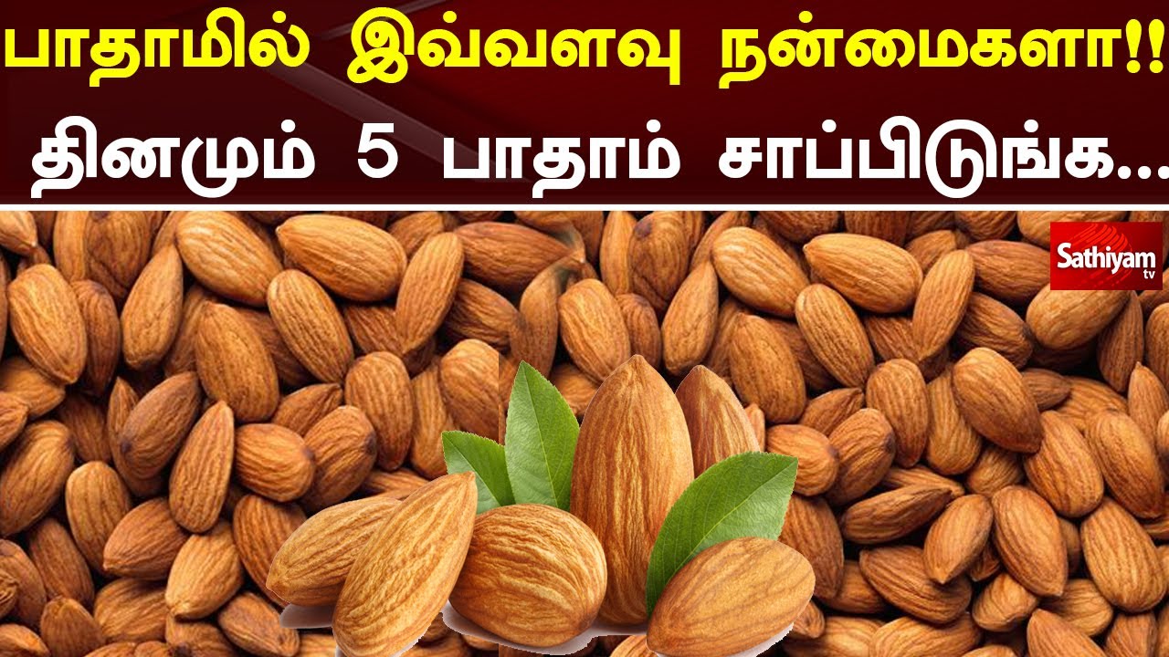 பாதாமில் இவ்வளவு நன்மைகளா தினமும் 5 பாதாம் சாப்பிடுங்க | SathiyamTv