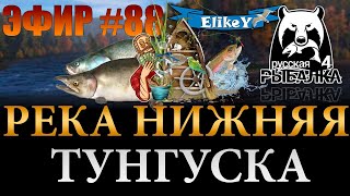 Новое Обновление! • Новые Катушки! • Погнали Ловить! • Река Тунгуска • Русская Рыбалка 4 • ЭФИР #88