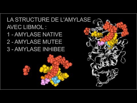 # Tuto Libmol Amylase Native Mutée Inhibée, SVT, Hervé Kempf, Lycée de l&rsquo;Elorn
