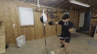 Heavy Bag and Double End Bag Work