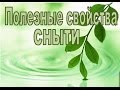 Полезные свойства сныти. Здравушкины рецепты с Оксаной Мицкевич