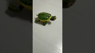 tortoise and turtle collection #Kame no Yakata@MagnetWorld