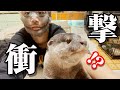 フェイスパックで愛を確かめてみた