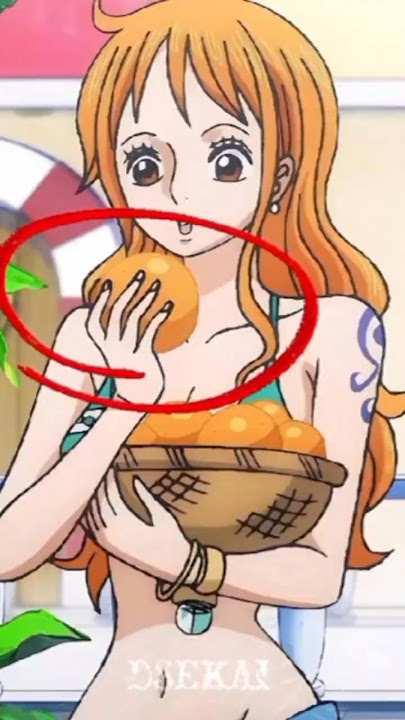 Kenangan One Piece ✨