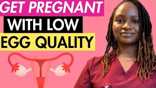 How to GET PREGNANT with LOW EGG QUALITY