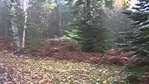 How to Find the Septic Tank / Drainfield: Complete Video