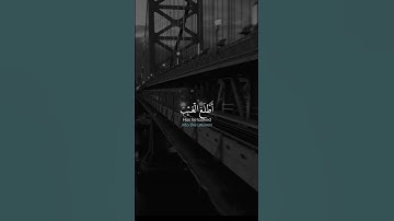 راحة عجيبة في صوته 🤍😴!! | القارئ احمد خضر - حالات واتس اب قران كريم ✨