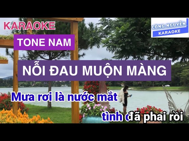 KARAOKE NỖI ĐAU MUỘN MÀNG | TONE NAM | CÔNG NGUYỄN class=