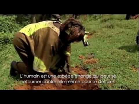 Vidéo: Comment le wangari maathai a-t-il changé le monde ?