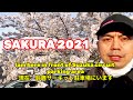 SAKURA BLOSSOM IN SUZUKACIRCUIT ||鈴鹿サーキットの桜咲く||Sakura2021[4K-60]
