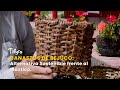 Canastos de Bejuco: Alternativa Sostenible frente al Plástico - TvAgro por Juan Gonzalo Angel