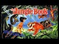 Разбор "Jungle Book" (NES,Dendy) World record SPEEDRUN - Разбор "Книга Джунглей" ДЕНДИ Спидран!